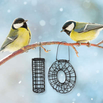 Voegel im Winter mit Vogelfuttergittern   Seite 4
